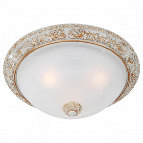 Накладной светильник Favourite Plafond 1446-3C