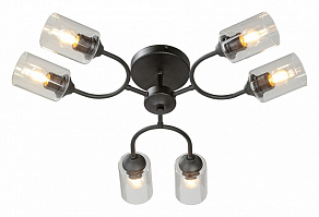 Потолочная люстра Vitaluce V2822 V2822-1/6PL