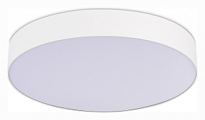 Накладной светильник ST-Luce ST606 ST606.532.48