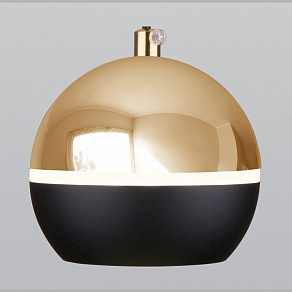 Подвесной светильник Elektrostandard DLS023 DLS023