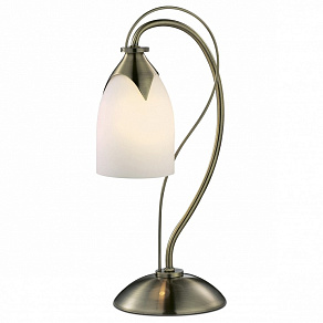 Настольная лампа декоративная Odeon Light Risto 2079/1T