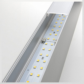 Накладной светильник Elektrostandard Grand 101-100-40-128