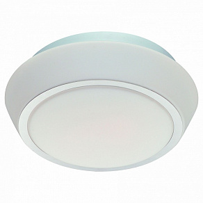 Накладной светильник ST-Luce Bagno SL496.502.03