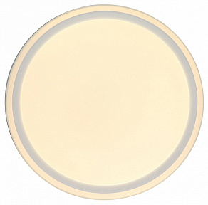 Накладной светильник Zortes BELLA ZRS.1200.04