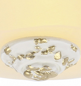 Накладной светильник Arte Lamp Torta A7151PL-2WG