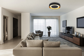 Накладной светильник Globo Clarke 15229D2