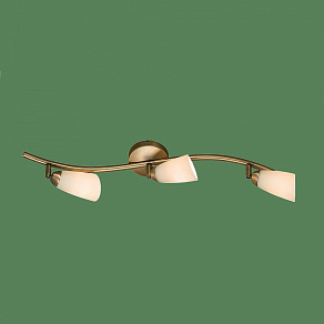 Спот Citilux Белла CL501533