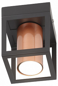 Накладной светильник Rivoli Raffaela Б0051233