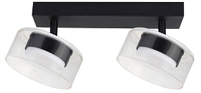 Светильник на штанге Arte Lamp ALIUS A8042PL-2BK