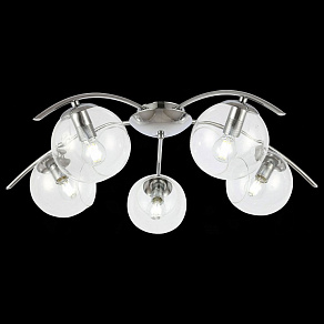 Потолочная люстра EVOLUCE Ratella SLE102602-05
