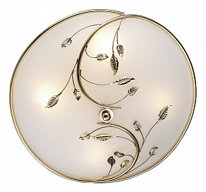 Накладной светильник Odeon Light Regana 2728/4C