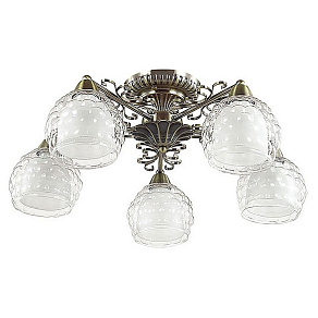Потолочная люстра Lumion Ampolla 3106/5C