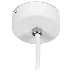 Подвесной светильник Ambrella TN TN501