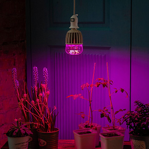 Лампа светодиодная Uniel LED-M80 E27 20Вт K 11098