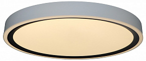 Накладной светильник Zortes BELLA ZRS.1201.07