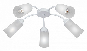 Потолочная люстра Vitaluce V3758 V3758-0/5PL