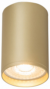 Накладной светильник Denkirs Tube DK2050-SG