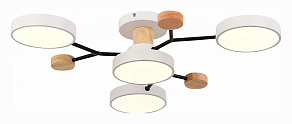 Потолочная люстра EVOLUCE Faema SLE6006-502-04