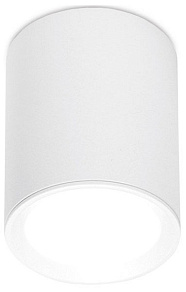 Накладной светильник Ambrella TN TN215