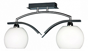 Светильник на штанге Omnilux OM-269 OML-26927-02