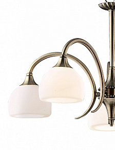 Подвесная люстра Odeon Light Adriana 1601/5