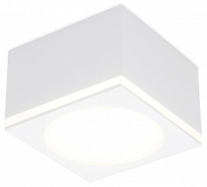 Накладной светильник Ambrella TN TN266