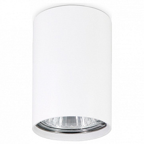Накладной светильник Ambrella TN TN213101