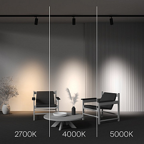 Накладной светильник Maytoni Technical Focus Led TR197-3-40WCCT-M-B