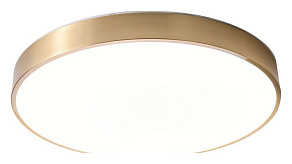 Накладной светильник Zortes Monna ZRS.1209.12