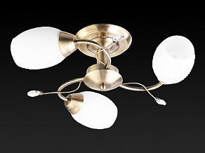 Люстра на штанге TopLight Alana TL3580X-03AB