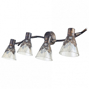 Спот Freya Donsia FR2345-WL-04-BR