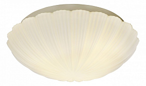 Накладной светильник ST-Luce Bagno SL495.502.03