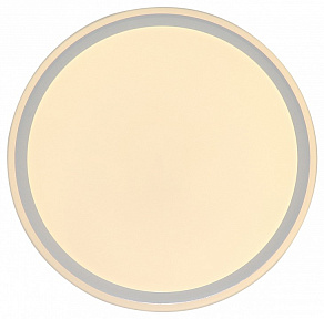 Накладной светильник Zortes BELLA ZRS.1200.07