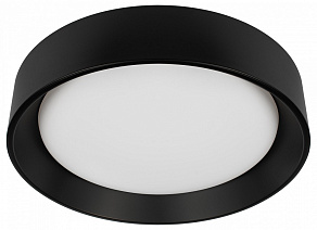 Накладной светильник Loft it Coin 10202 BB