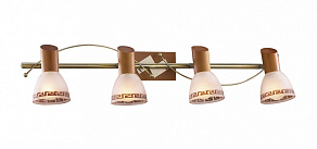 Спот Odeon Light Vario 1970/4W