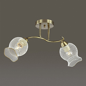 Светильник на штанге Lumion Rozetta 3109/2C