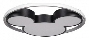 Накладной светильник Loft it Mike 10166