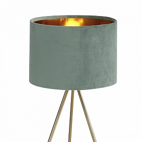 Настольная лампа декоративная ST-Luce FUEGO SL6242.704.01