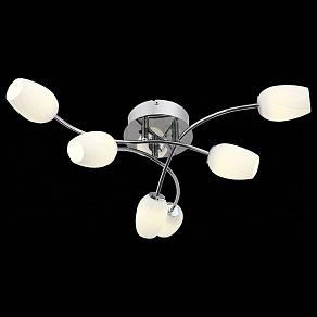 Потолочная люстра ST-Luce Luna SL478.102.06