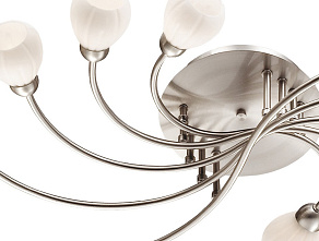 Потолочная люстра Odeon Light Akron 2469/10C