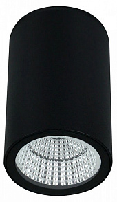 Накладной светильник Arte Lamp TORCULAR A1307PF-1BK