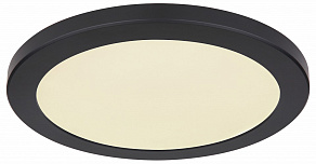 Накладной светильник Globo Lasse 12379-24B