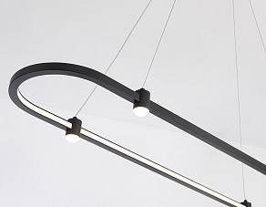 Подвесной светильник Ambrella FL FL5589