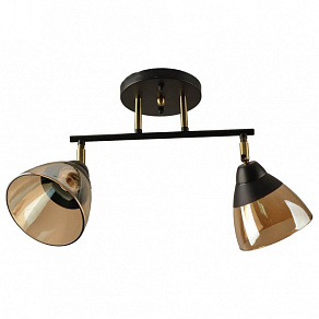 Спот Hiper Rafaelo H193-2