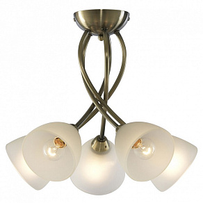 Потолочная люстра Arte Lamp Nikki A2576PL-5AB