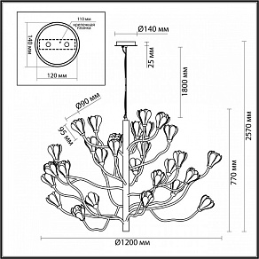 Подвесная люстра Odeon Light Gardi 5090/30