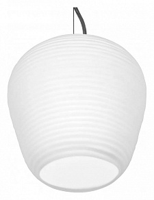 Подвесной светильник iLamp Moon AP9041-1C WH