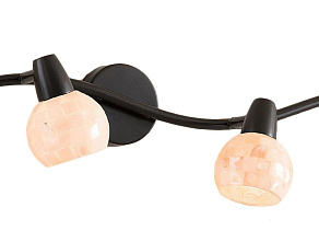 Спот Citilux Соната CL520545