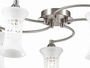 Потолочная люстра Odeon Light Rukba 2516/5C