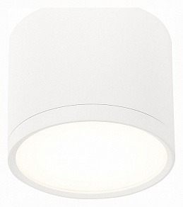 Накладной светильник ST-Luce Rene ST113.542.09